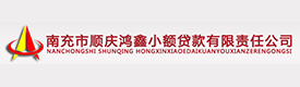 南充市順慶鴻鑫小額貸款有限責任公司