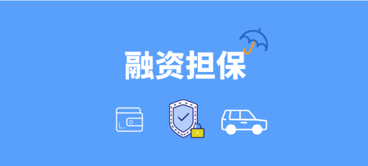 融資擔(dān)保軟件哪家好？